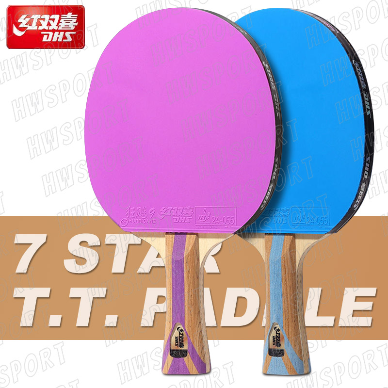 Table Tennis Backhand - DHS-raqueta de tenis de mesa de