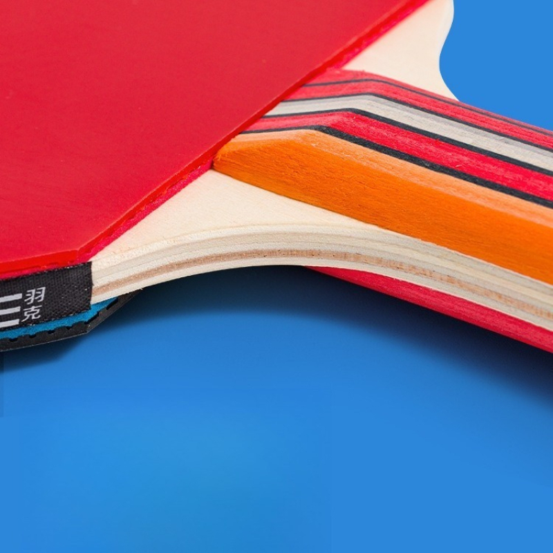 Juego de Raquetas de Tenis de  - Table Tennis Backhand reseña y precio