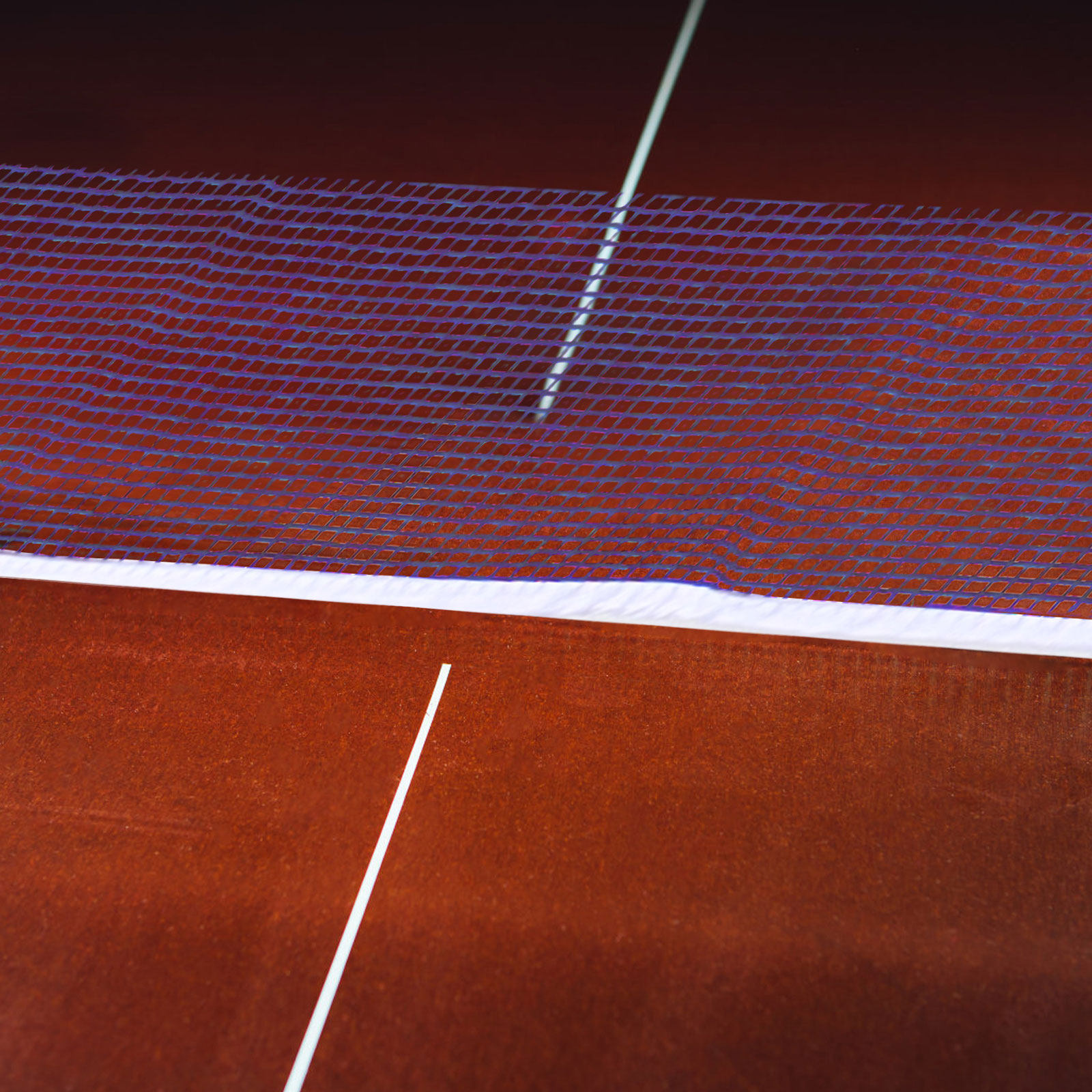Red y Postes de Tenis de Mesa  - Table Tennis Net Set reseña y precio